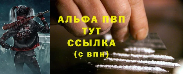 гидра Строитель