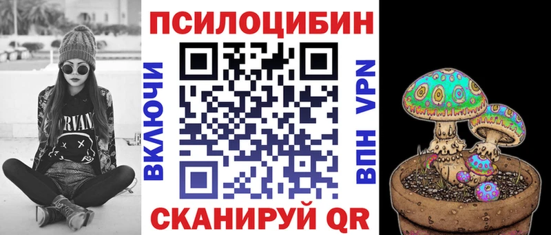 Купить  Камбарка  Галлюциногенные грибы Magic Shrooms 
